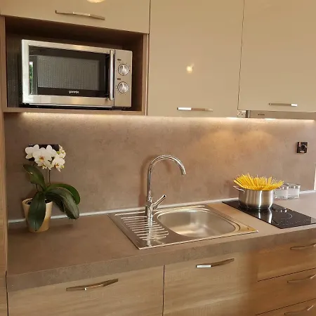 Taja アパート Ližnjan