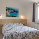 Taja Ližnjan